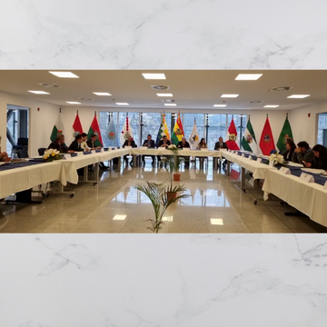 Sesión conjunta entre la Cámara de Diputados del Estado Plurinacional de Bolivia y el Parlamento Andino