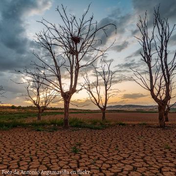 Día Mundial de Lucha contra la Desertificación y la Sequía