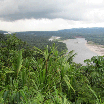 La Reserva de la Biosfera del Manu, un referente natural de la región Andina